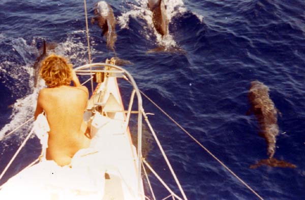 1984_triple_trappel_262