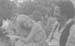 197x_francoise_concert_n_gerard