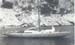 197x_mh_requin_07