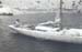 197x_mh_requin_08
